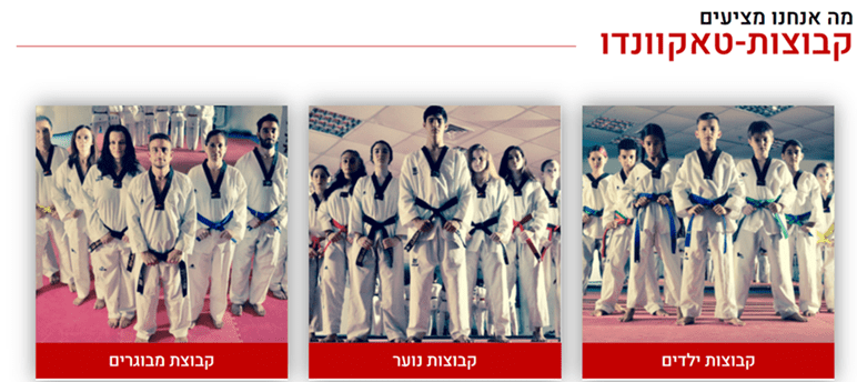 אתר תדמית - עמותת טלקוונדו